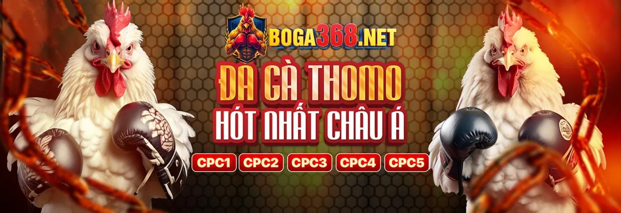 Trò chơi bàn 6
