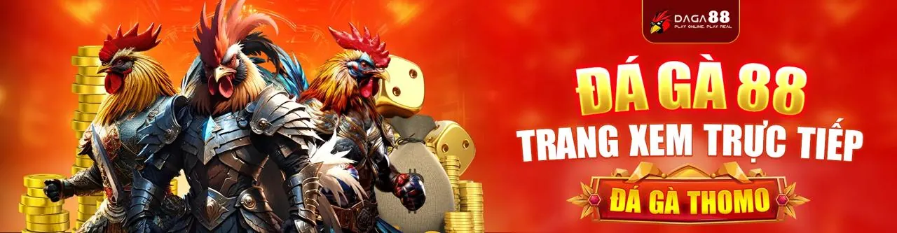 Trò chơi đấu gà phổ biến 9