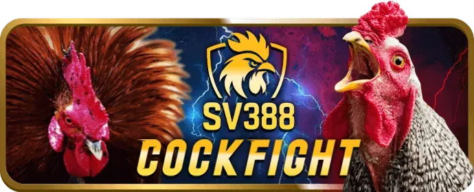 Quy tắc cá cược bóng rổ 888slots